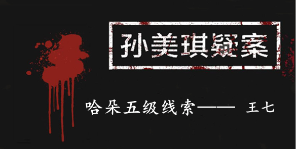 孙美琪疑案：哈朵五级线索——王七