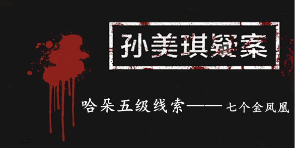 孙美琪疑案：哈朵五级线索——七个金凤凰