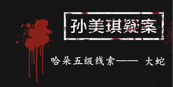 孙美琪疑案：哈朵五级线索——大蛇