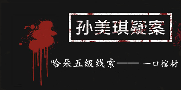 孙美琪疑案：哈朵五级线索——一口棺材