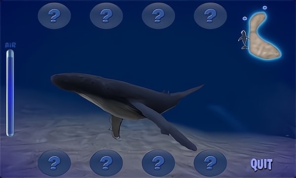 座头鲸模拟器游戏3