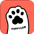 puppycam宠物