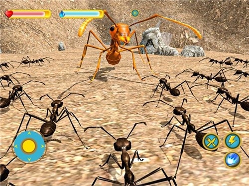 蚂蚁生存3D0