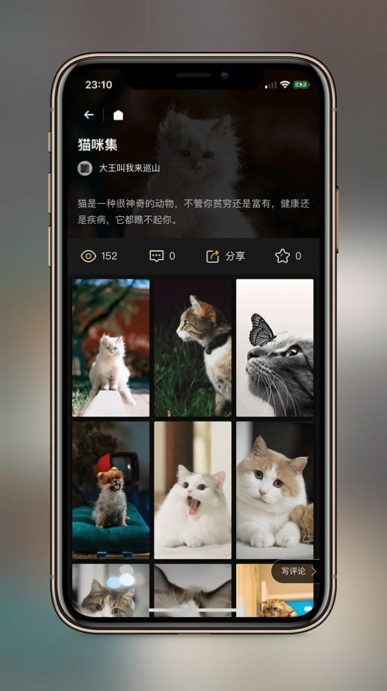 纸塘壁纸软件2