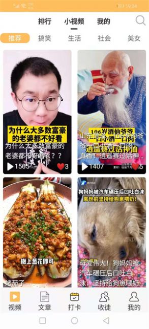 叶猴资讯2