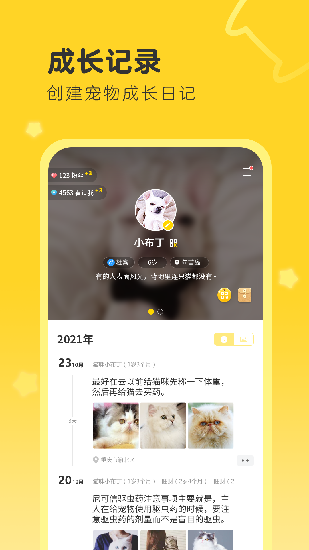 句苗岛APP1