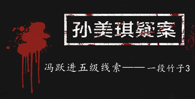 孙美琪疑案：冯跃进五级线索——一段竹子3