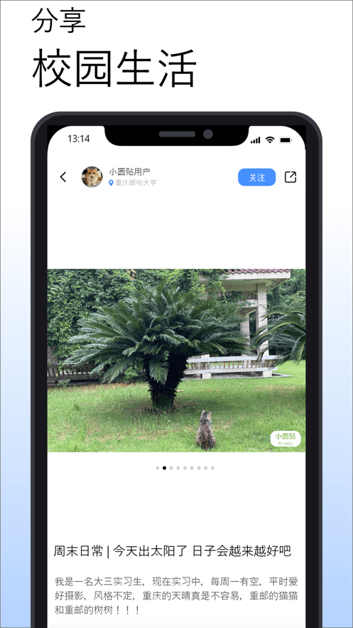 小圆贴1