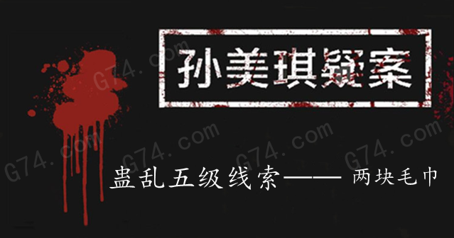 孙美琪疑案：蛊乱五级线索——两块毛巾