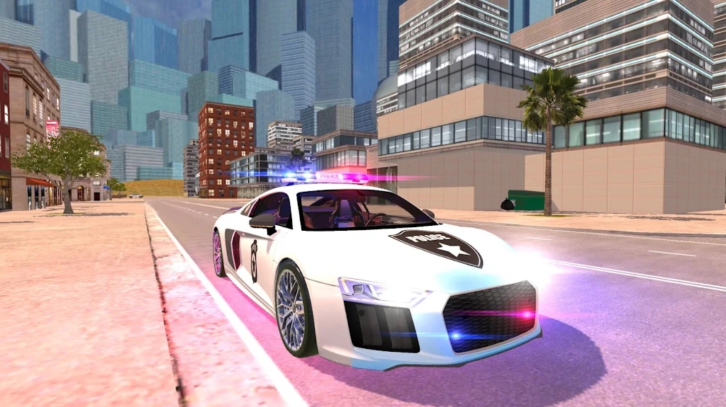 R8警察模拟器2021游戏2