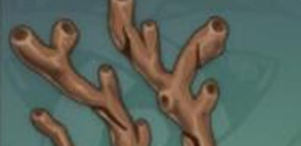 原神如何获得远海夷地的瑚枝