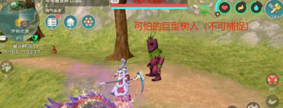 创造与魔法树人蒙特如何获得
