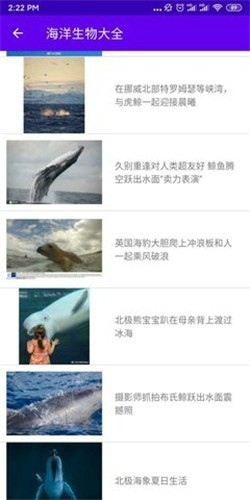 海洋生物大全2