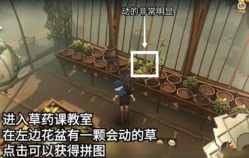 哈利波特魔法觉醒拼图10.11碎片在哪里