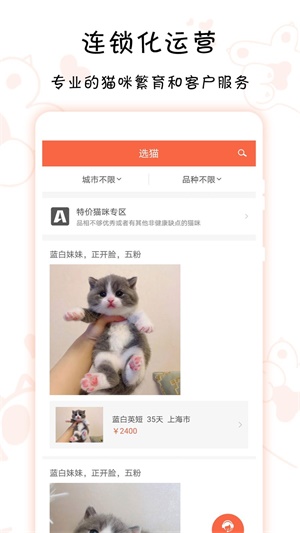 家连猫舍1