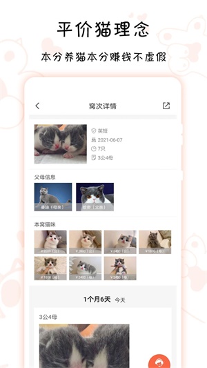 家连猫舍2