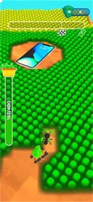 蚂蚁公司游戏2