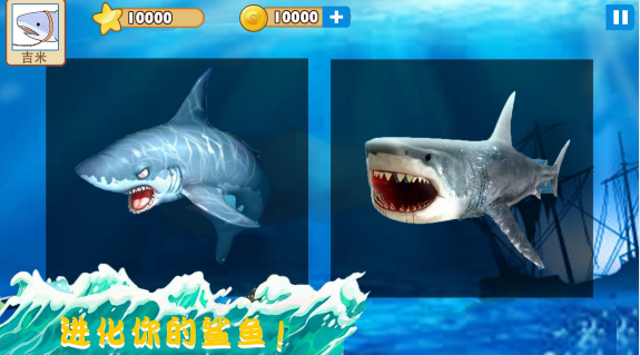 大白鲨真实模拟游戏2