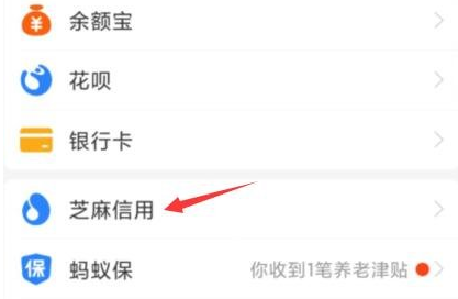 支付宝信用分怎么查