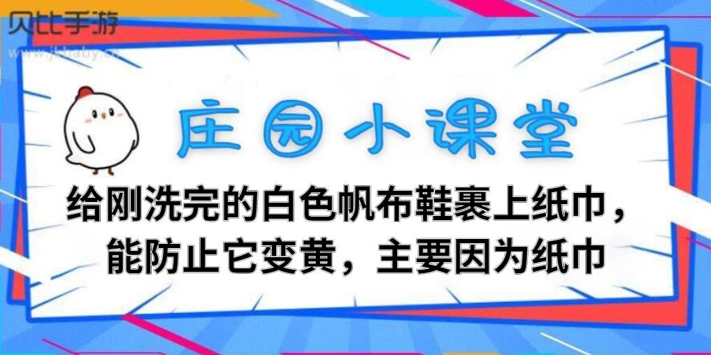 给刚洗完的白色帆布鞋裹上纸巾，能防止它变黄，主要因为纸巾-2021蚂蚁庄园11月10日今天答题答案