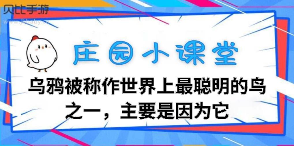 乌鸦被称作世界上最聪明的鸟之一，主要是因为它-2021蚂蚁庄园小课堂11月11日今天答题答案