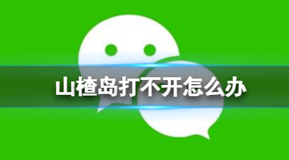 山楂岛进不去什么原因