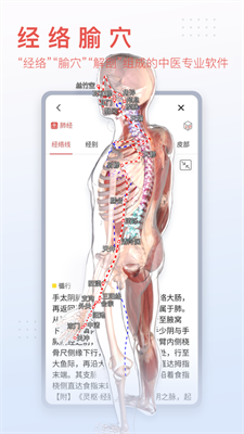 3Dbody解剖图1