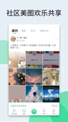 狸狸动态壁纸1