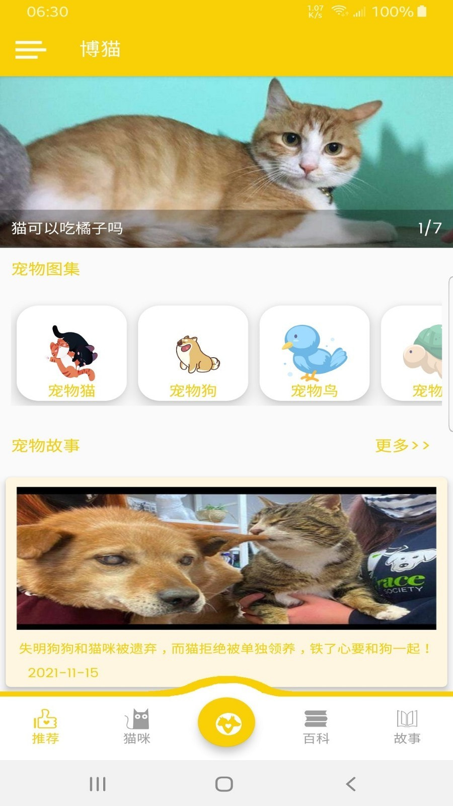 博猫0
