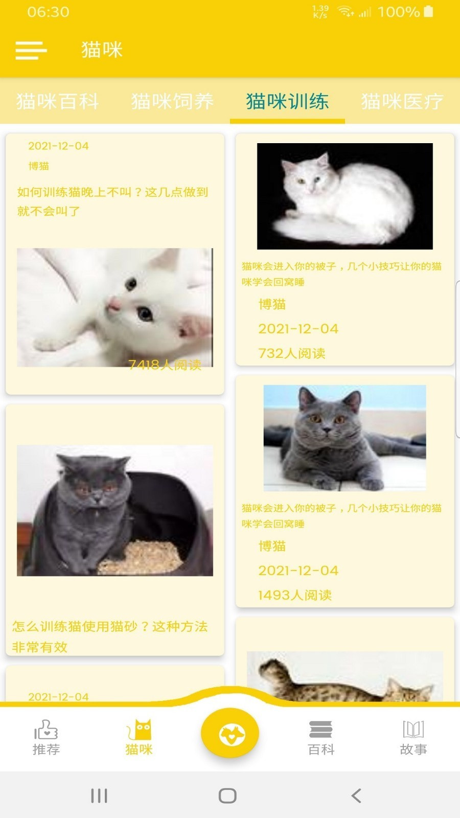 博猫1