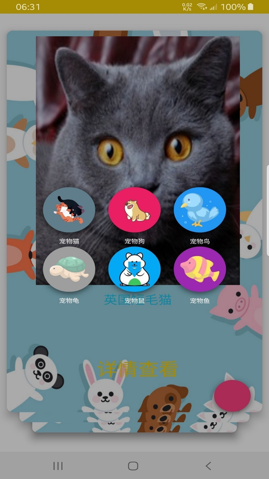 博猫2