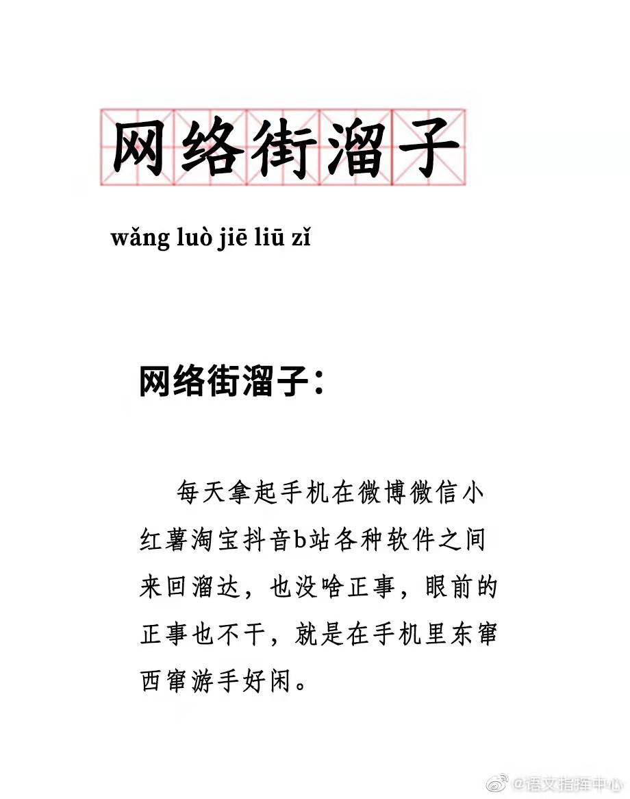 网络街溜子是什么