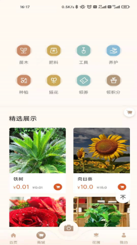 花助理1