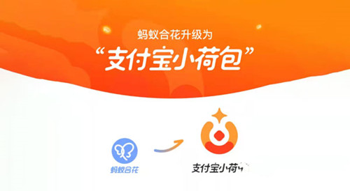 支付宝小荷包能否一个人存