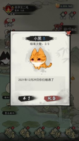 三界铲屎官游戏3
