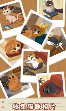 猫咪慵懒的日常游戏0