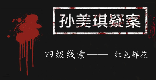 孙美琪疑案：冥四级线索——红色鲜花