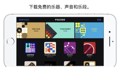 库乐队20223