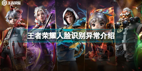 王者荣耀人脸识别环境异常1207401怎么办