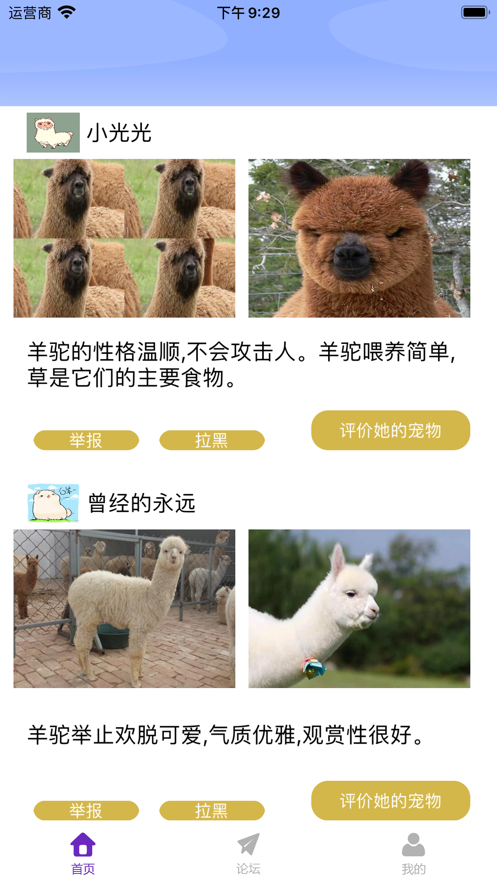 小羊驼0