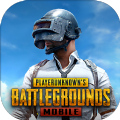 绝地求生PUBGM国际服直装