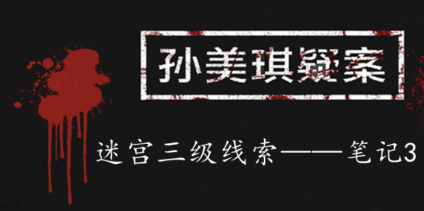 孙美琪疑案：迷宫三级线索——笔记3