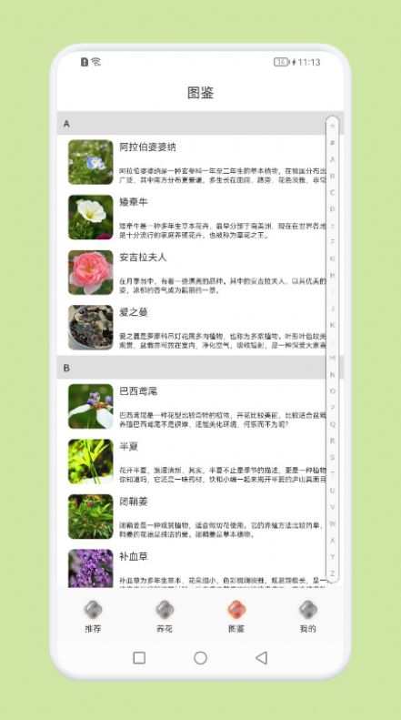 植物识别百科手机免费版2