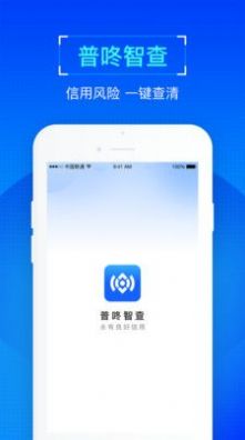 普咚智查1