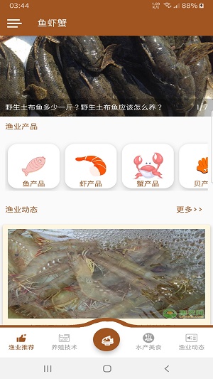 鱼虾蟹海货1