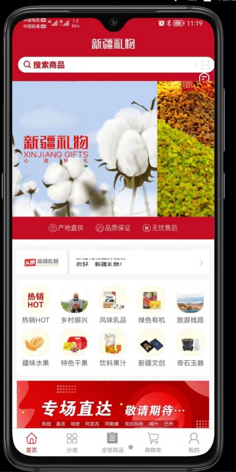 新疆礼物3