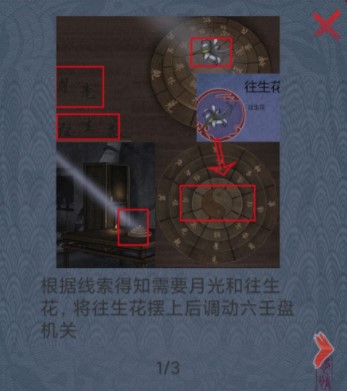 怨憎会往生花怎么种植