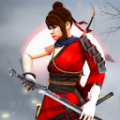 忍者战士武士游戏2