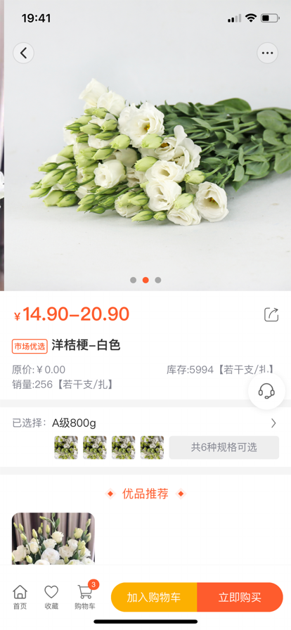 亟花2
