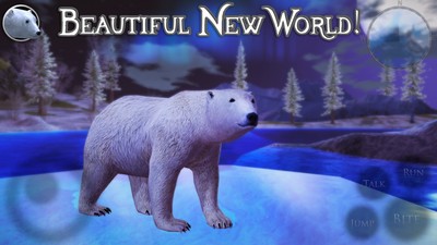 北极熊模拟22